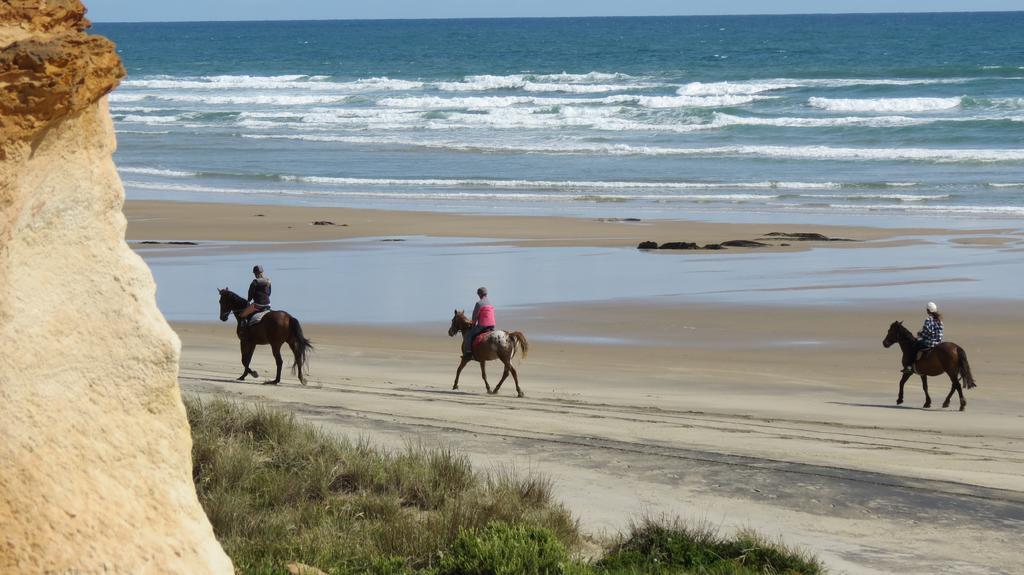 Baylys Beach Holiday Park מראה חיצוני תמונה